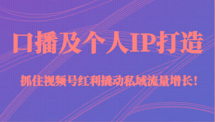 口播及个人IP打造，抓住视频号红利撬动私域流量增长！（45节课）-南友云赚