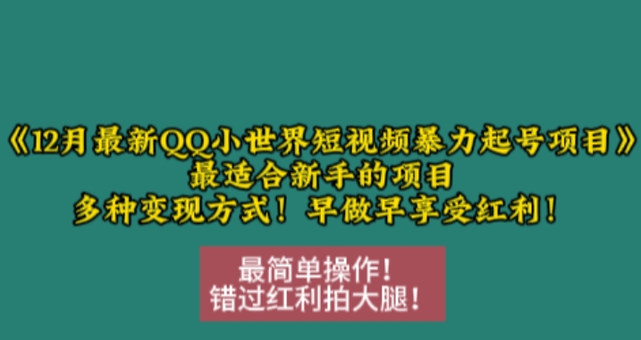 12月最新QQ小世界短视频暴力起号项目，最适合新手的项目，多种变现方式-南友云赚