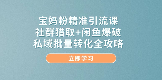 宝妈粉精准引流课，社群猎取+闲鱼爆破，私域批量转化全攻略-南友云赚