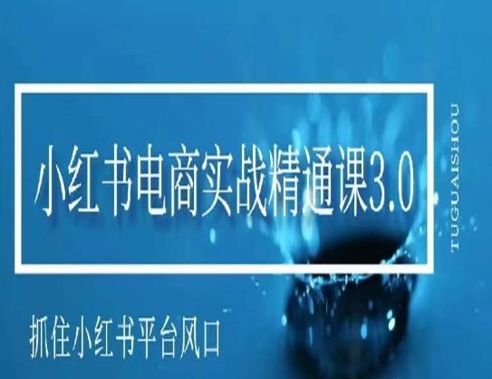 小红书电商实战精通课3.0，抓住小红书平台的风口，不错过有一个赚钱的机会-南友云赚