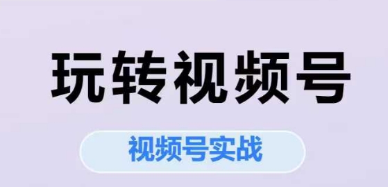 玩转视频号，视频号实战系列课-南友云赚