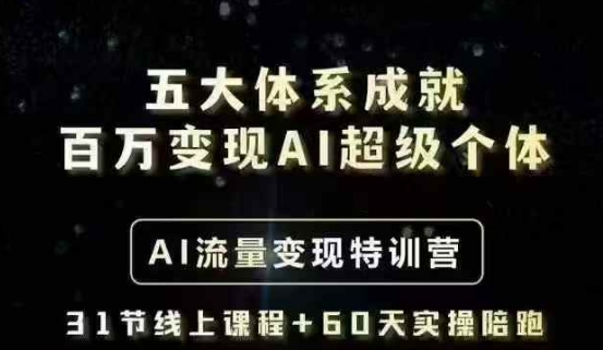 五大体系成就百万变现AI超级个体- AI流量变现特训营，一步一步教你一个人怎么年入百W-南友云赚