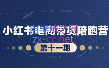 盗坤·小红书电商带货陪跑营(第十一期)-南友云赚