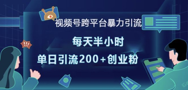 视频号跨平台暴力引流，每天半小时，单日引流200+精准创业粉-南友云赚