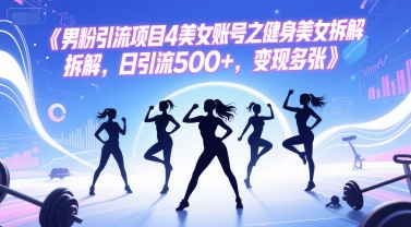 男粉引流项目4美女账号之健身美女拆解，日引流500+，变现多张-南友云赚