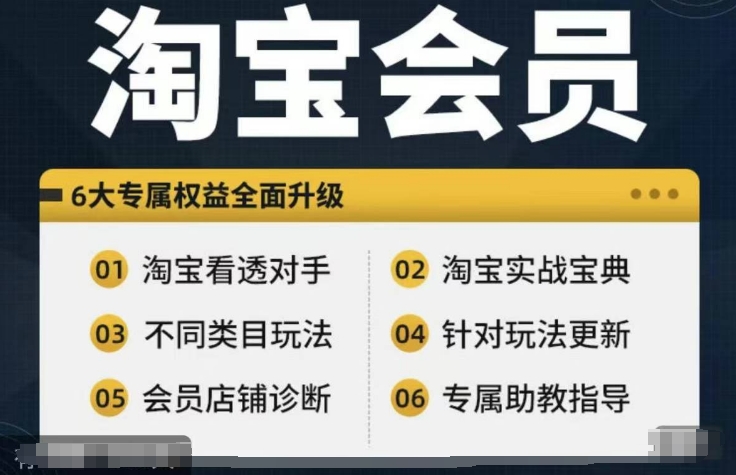 淘宝会员【淘宝所有课程，全面分析对手】，初级到高手全系实战宝典-南友云赚