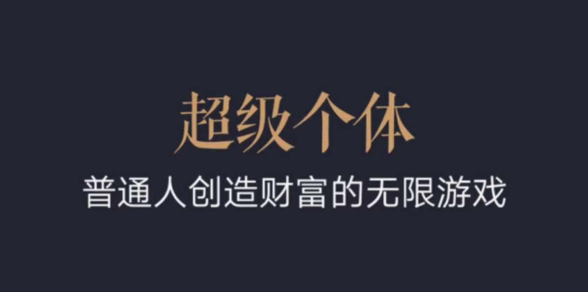 超级个体：2024-2025翻盘指南，普通人创造财富的无限游戏-南友云赚