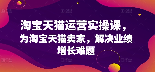 淘宝天猫运营实操课，为淘宝天猫卖家，解决业绩增长难题-南友云赚