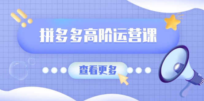 拼多多高阶运营课：极致群爆款玩法，轻付费无尽复制，打造单品爆款之路-南友云赚
