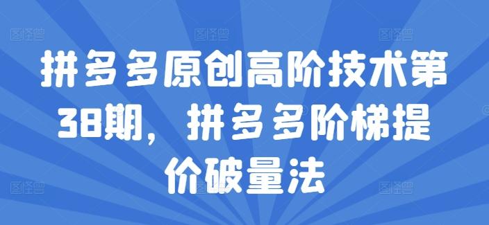 拼多多原创高阶技术第38期，拼多多阶梯提价破量法-南友云赚
