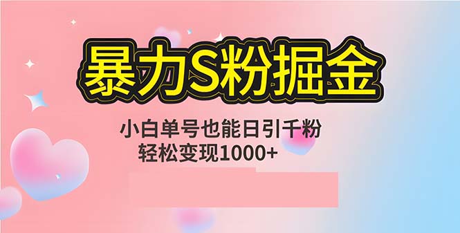 单人单机日引千粉，变现1000+，S粉流量掘金计划攻略-南友云赚