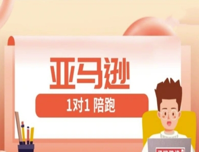 亚马逊1对1陪跑课(FBA/FBM精铺)跨境亚马逊教程-南友云赚