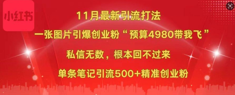 小红书11月最新图片打粉，一张图片引爆创业粉，“预算4980带我飞”，单条引流500+精准创业粉-南友云赚