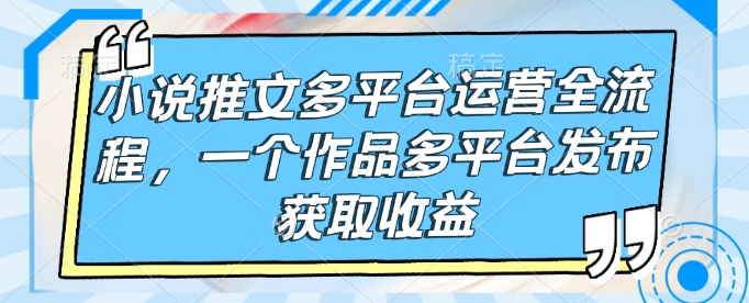 小说推文多平台运营全流程，一个作品多平台发布获取收益-南友云赚