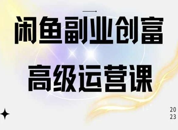 闲鱼电商运营高级课程，一部手机学会闲鱼开店赚钱-南友云赚