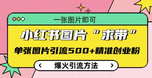 小红书图片‘求带’爆火引流法，单张图片引流500+精准创业粉【揭秘】-南友云赚