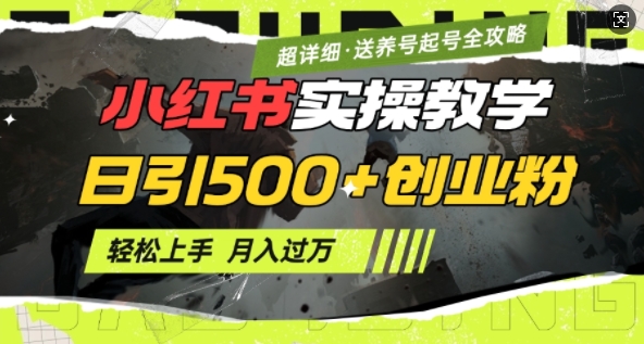2月小红书最新日引500+创业粉实操教学【超详细】小白轻松上手，月入1W+，附小红书养号起号SOP-南友云赚