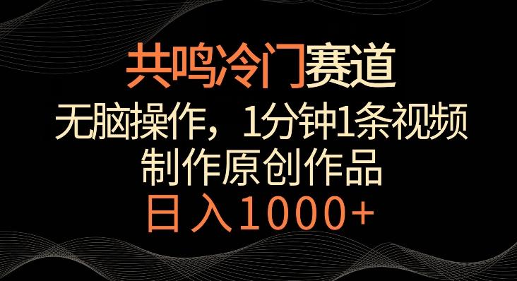 共鸣冷门赛道，无脑操作，一分钟一条视频，日入1000+【揭秘】-南友云赚