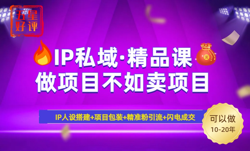 2025年“IP私域·密训精品课”，日赚3000+小白避坑年赚百万，暴力引流…-南友云赚