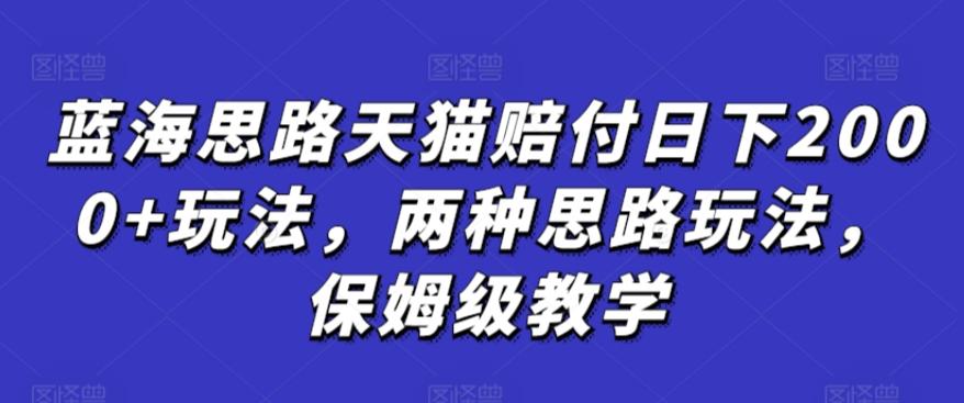 蓝海思路天猫赔付日下2000+玩法，两种思路玩法，保姆级教学【仅揭秘】-南友云赚
