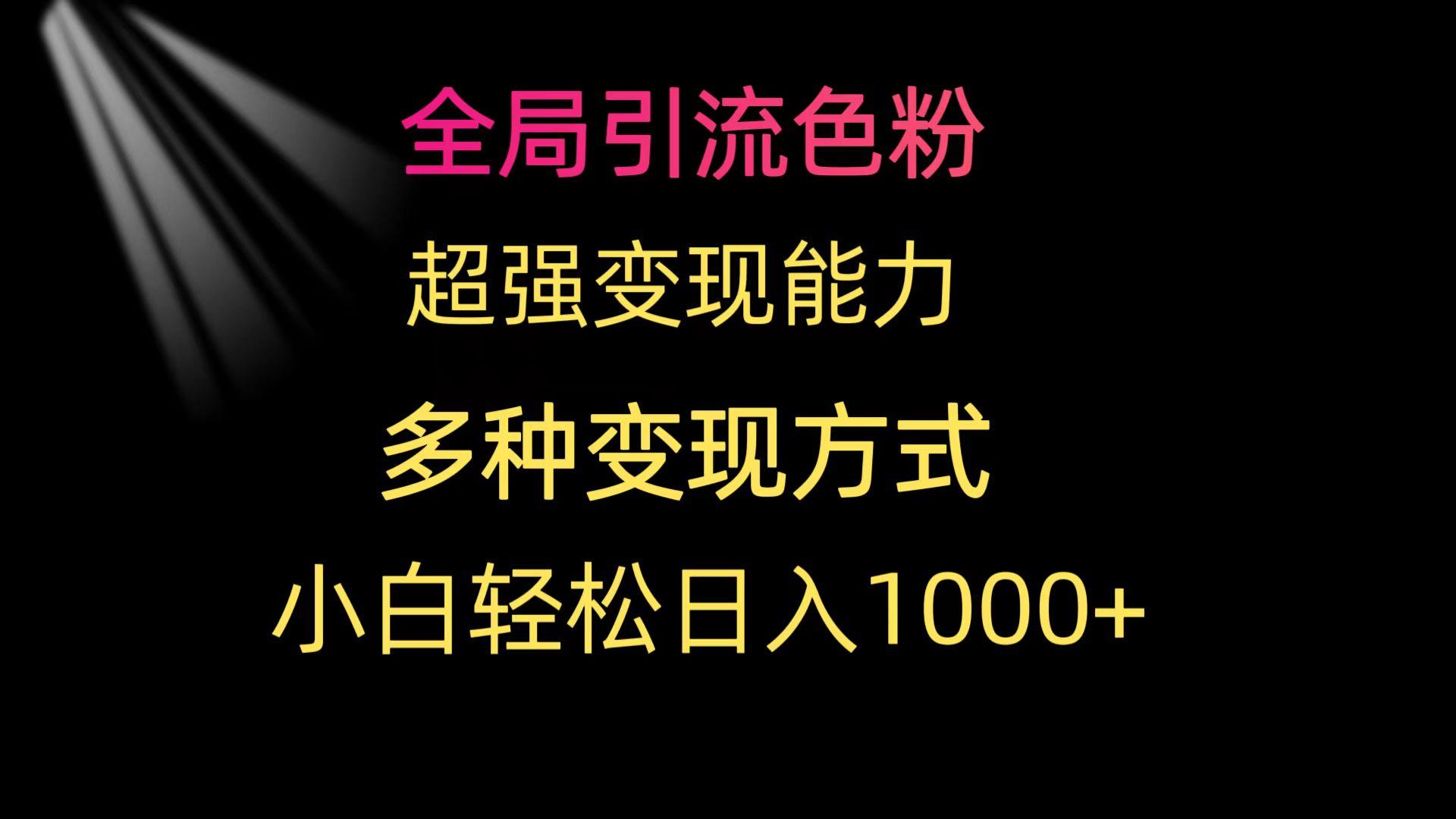 (9680期)全局引流色粉 超强变现能力 多种变现方式 小白轻松日入1000+-南友云赚