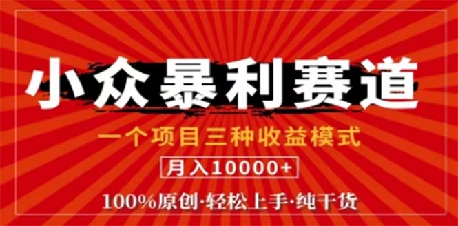 视频号最新爆火赛道，三种可收益模式，0粉新号条条原创条条热门 日入1000+-南友云赚