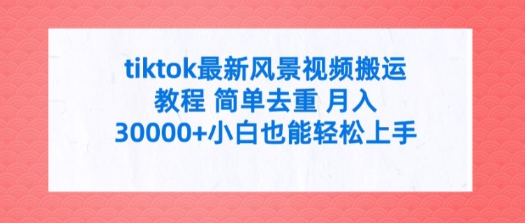 tiktok最新风景视频搬运教程 简单去重 月入3W+小白也能轻松上手【揭秘】-南友云赚