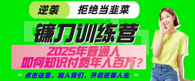 【网创项目终点站-镰刀训练营超级IP合伙人】25年普通人如何通过知识付费实现逆袭【揭秘】-南友云赚