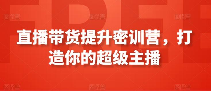 直播带货提升密训营，打造你的超级主播-南友云赚