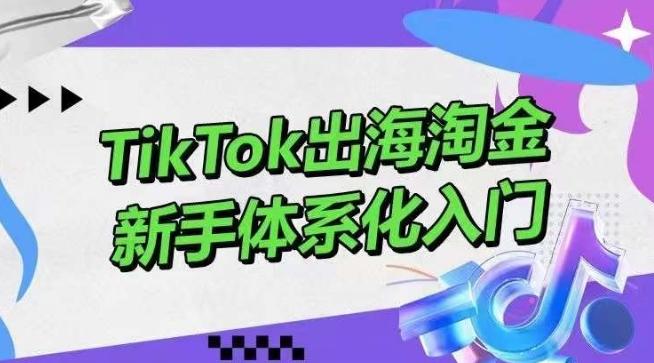 TikTok出海淘金，新手体系化入门，零基础快速入门，掌握短视频、直播带货等引流到变现的知识-南友云赚