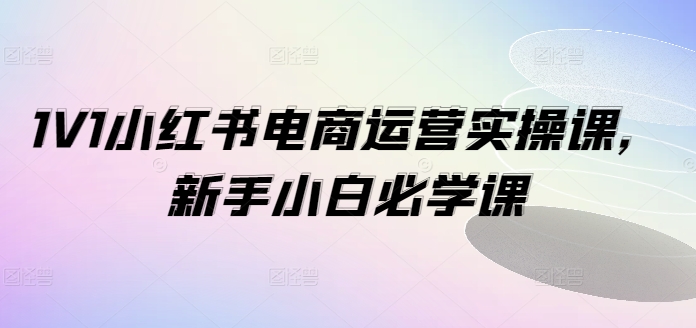 1V1小红书电商运营实操课，新手小白必学课-南友云赚