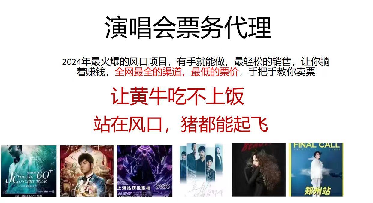 演唱会2024票务代理，全网最低的票价，手把手教你卖票，日入2000+-南友云赚