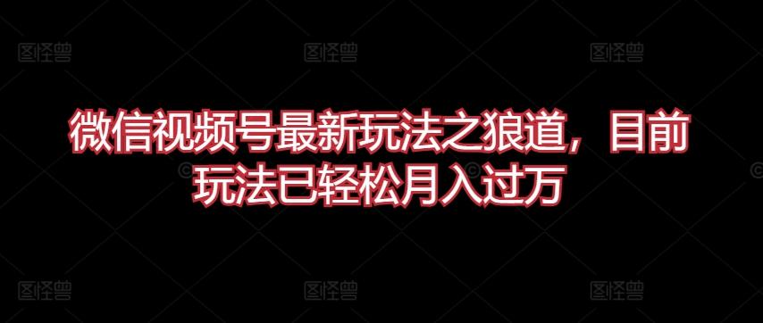 微信视频号最新玩法之狼道，目前玩法已轻松月入过万【揭秘】-南友云赚