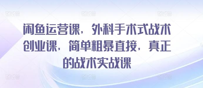 闲鱼运营课，外科手术式战术创业课，简单粗暴直接，真正的战术实战课-南友云赚