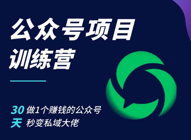 公众号项目训练营，30天做1个赚钱的公众号，秒变私域大佬-南友云赚