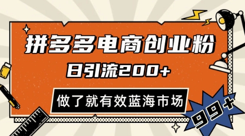 拼多多引流电商创业粉，日引200+，可矩阵放大，做了就有效【揭秘】-南友云赚
