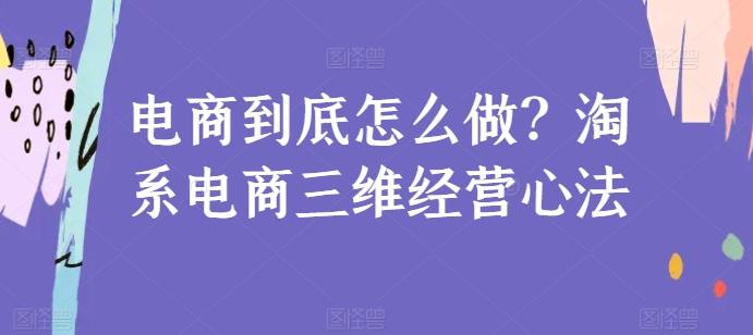 电商到底怎么做？淘系电商三维经营心法-南友云赚