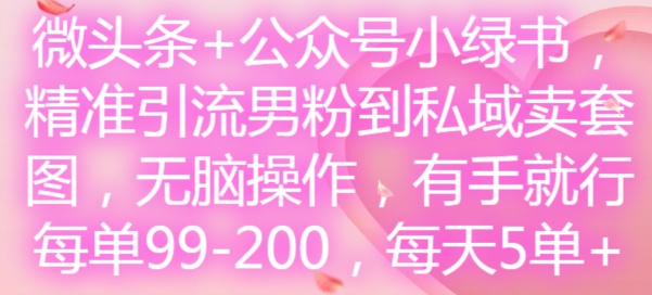 微头条+公众号小绿书，精准引流男粉到私域卖套图，无脑操作，有手就行，每单99-200，每天5单-南友云赚