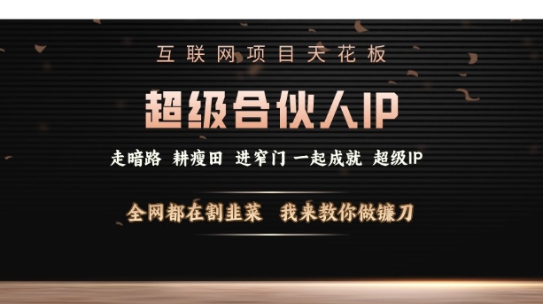 互联网项目天花板，超级合伙人IP，全网都在割韭菜，我来教你做镰刀【仅揭秘】-南友云赚