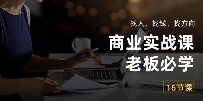 商业实战课【老板必学】：找人、找钱、找方向(16节课-南友云赚