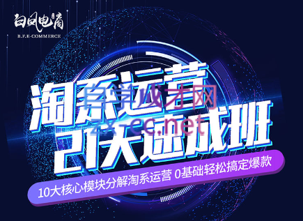 淘系运营21天速成班(更新24年6月)-南友云赚