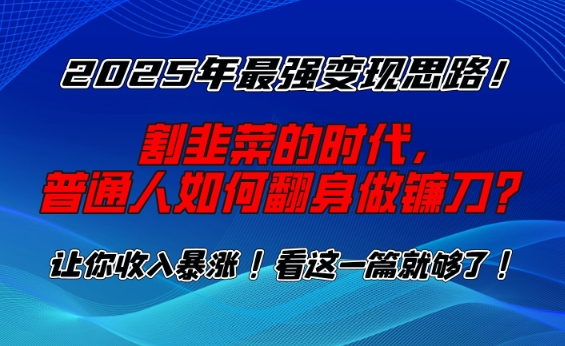 2025年最强变现思路，割韭菜的时代， 普通人如何翻身做镰刀？【揭秘】-南友云赚
