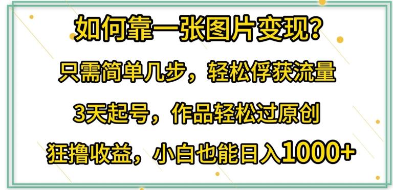 如何靠一张图片变现?只需简单几步，轻松俘获流量，3天起号，作品轻松过原创【揭秘】-南友云赚