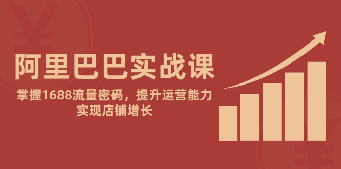 阿里巴巴实战课：掌握1688流量密码，提升运营能力，实现店铺增长-南友云赚