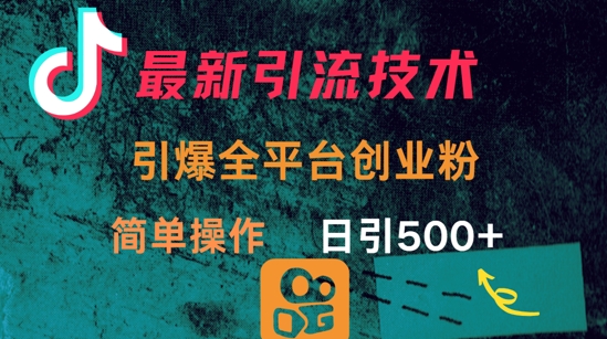 最新引流方法，引爆全平台的一个创业粉，简单操作日引300+-南友云赚