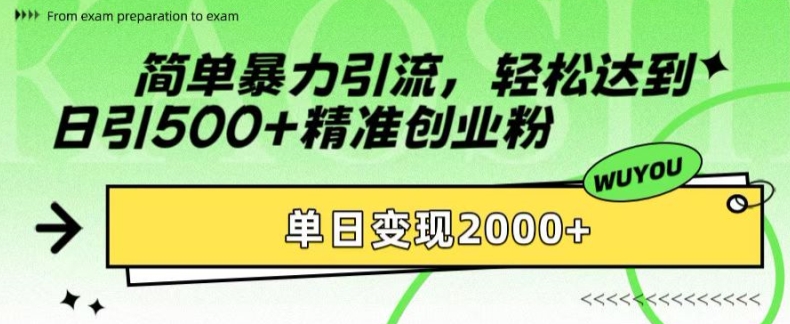 简单暴力引流，轻松达到日引500+精准创业粉，单日变现2k【揭秘】-南友云赚