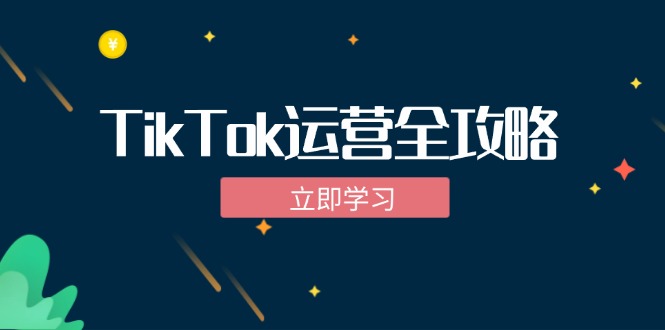 TikTok实战运营全攻略：从下载软件到变现，抖音海外版实操教程-南友云赚