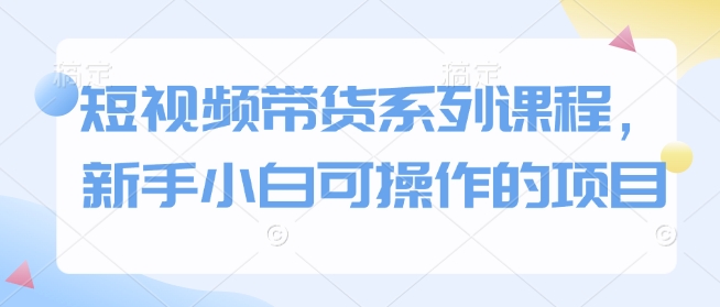短视频带货系列课程，新手小白可操作的项目-南友云赚