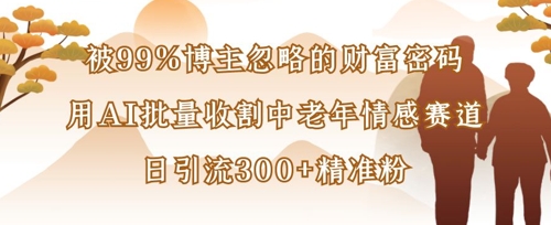 被99%博主忽略的财富密码：用AI批量收割中老年情感赛道，日引流300+精准粉-南友云赚