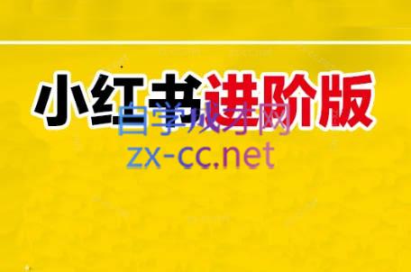 日日老师·小红书电商进阶版-南友云赚
